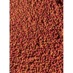 Pellet gotowy w wiaderku Feeder Bait 600g Czosnek & Śliwka