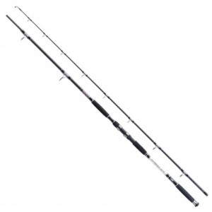 Wędka SUMOWA Jaxon Intensa GTX Catfish 2,85 500g