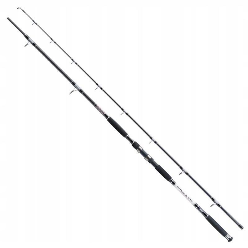 Wędka SUMOWA Jaxon Intensa GTX Catfish 2,85 500g