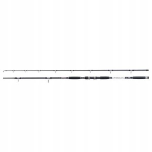 Wędka SUMOWA Jaxon Intensa GTX Catfish 2,85 500g