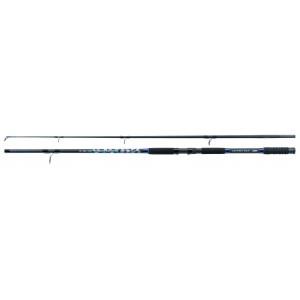 Wędka SUMOWA Jaxon Tenesa Catfish Max 3,00 450g