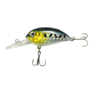 Zestaw Woblerów Jaxon Atract Aris 4cm 4,8g Kleń Okoń Pstrąg