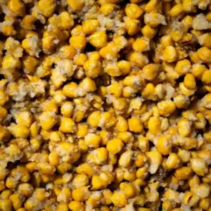 CARPCORN ZIARNA KUKURYDZY GOTOWANE 4kg KUKURYDZA WĘDKARSKA NATURALNA