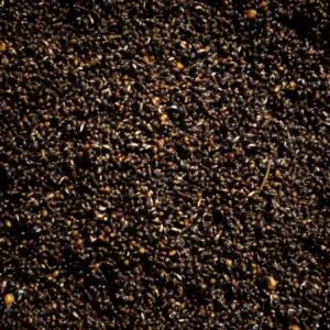 CARPCORN NASIONA KONOPI GOTOWANE 1kg KONOPIE WĘDKARSKIE