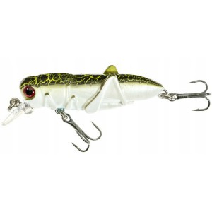 Wobler Jaxon Hooper konik polny świerszcz 4,5cm