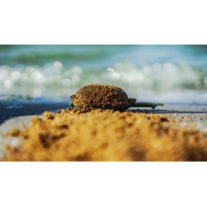 Killer Zanęta Osmo CSuperL CSL Fermentowana Kukurydza 800g