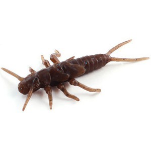 Przynęta FISHUP Stonefly 0.75” 012 - Chaos