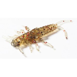 Przynęta FISHUP Stonefly 0.75” 045 - Green Pumpkin/Red & Black