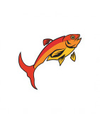 Pojemniki Method Feeder